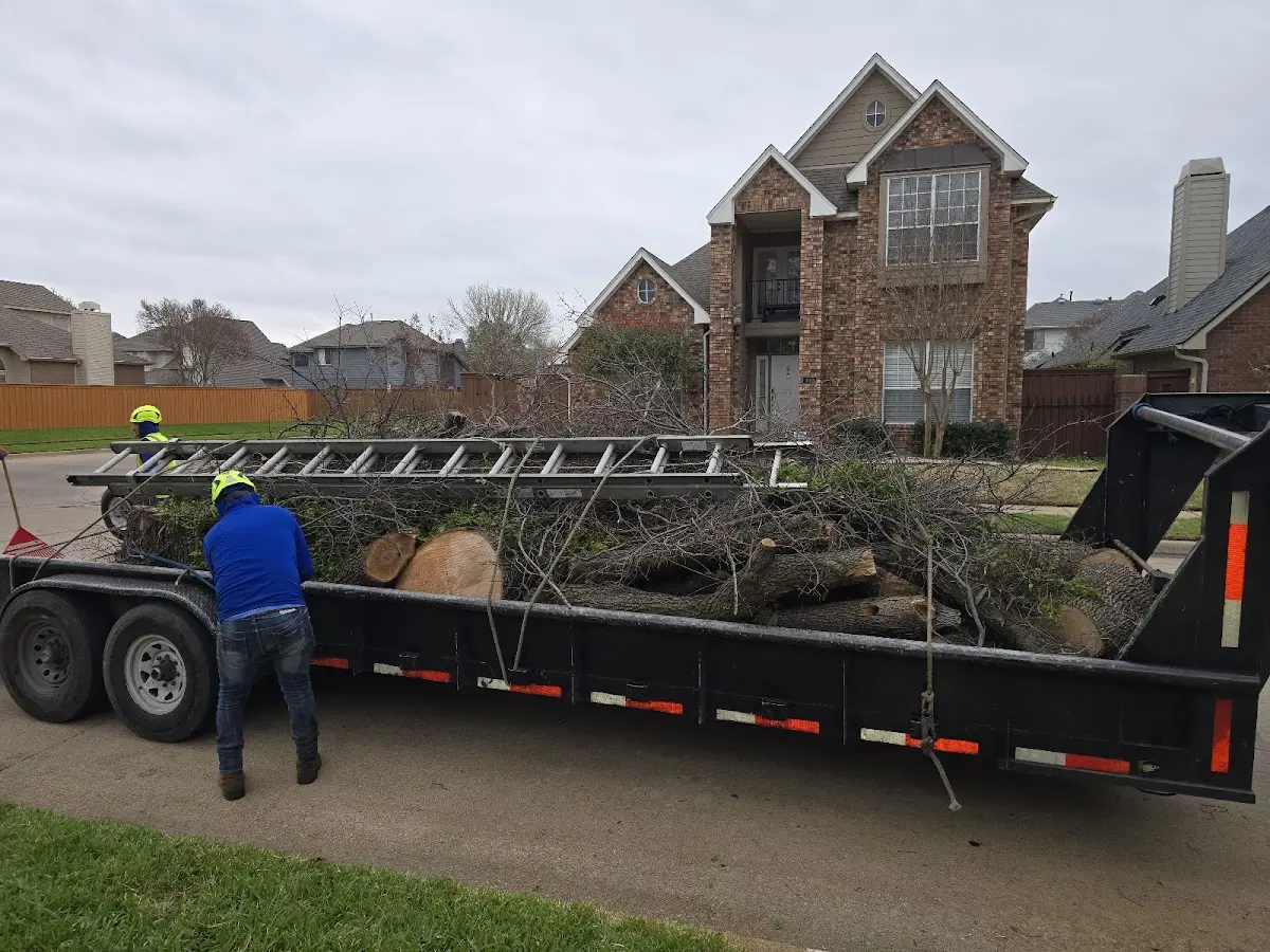 Expert Crown Reduction with proper safety equipment in Grand Island